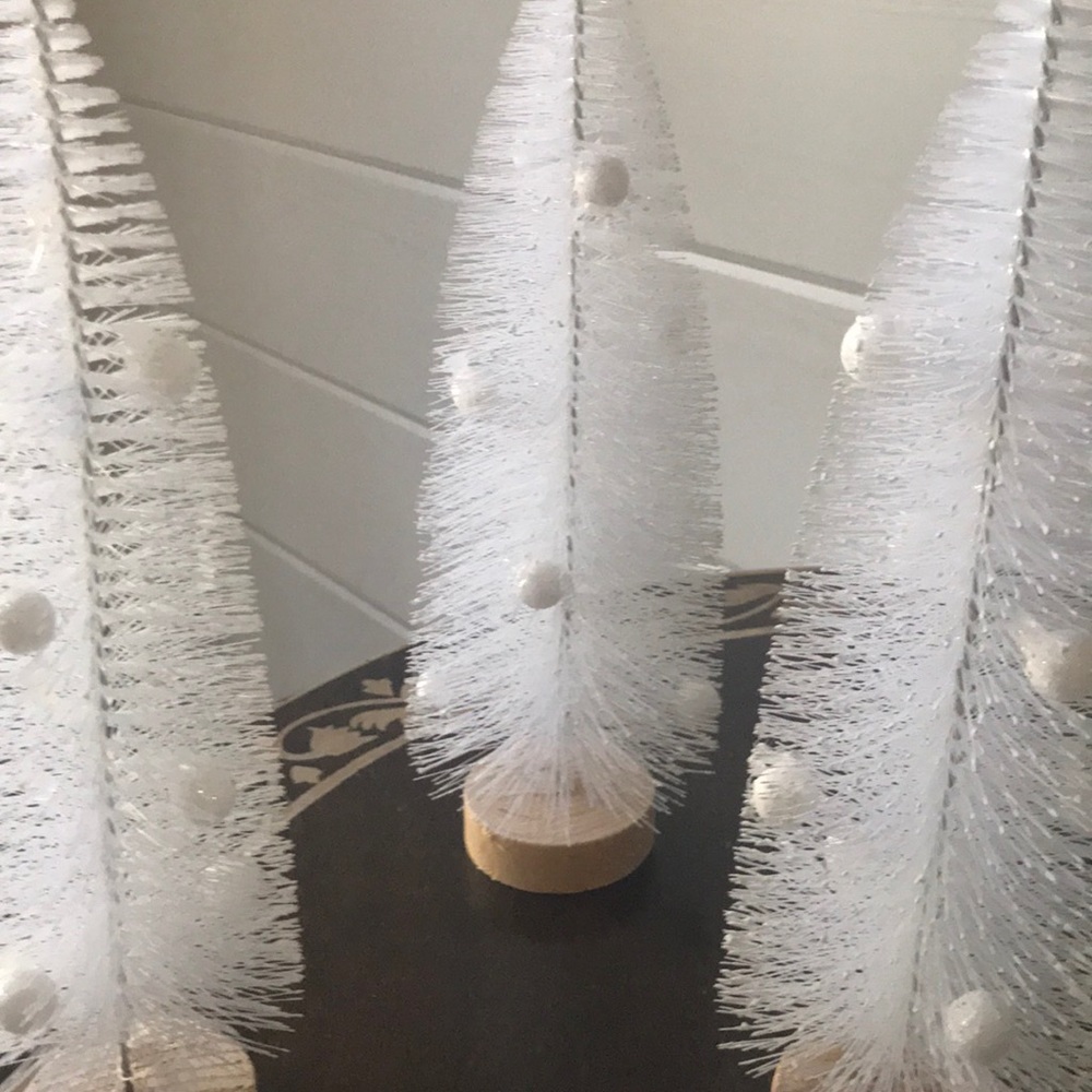 Set of 3 Bottle Brush Trees - Picture 9 of 10